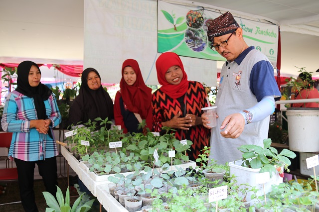 Yogyakarta Kembangkan Pertanian Perkotaan dengan Konsep Kampung Sayur