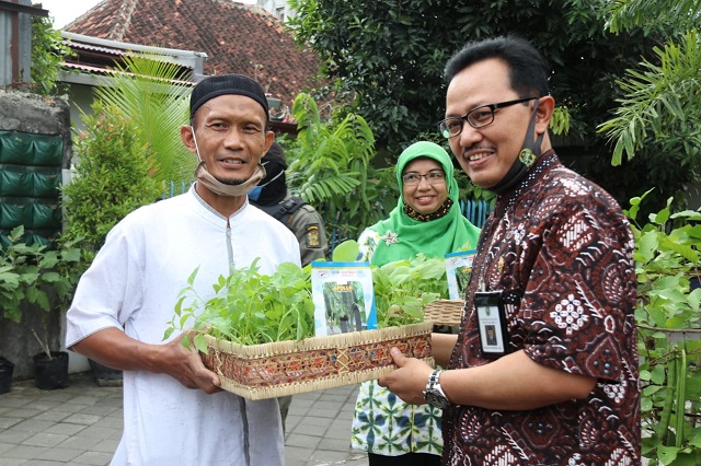 Jaga Produktivitas Kampung Sayur, Kelompok Tani Dapat Bantuan Benih