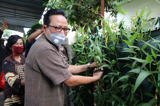 Urban Farming RW 01 Demangan Bikin Wisatawan Kepincut