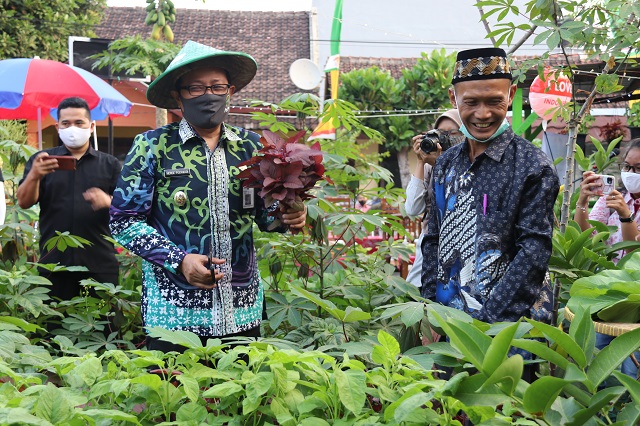 Peluang Usaha Tanaman Organik Melejit