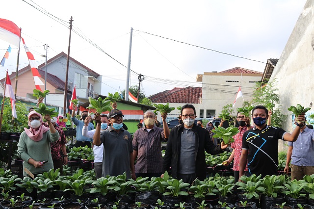 Warga Pilahan Sulap TPS jadi Kebun Sayur