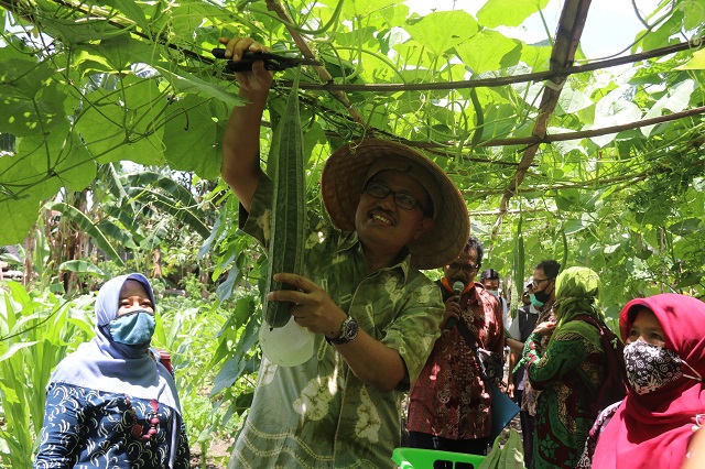 Warga Keparakan Manfaatkan Lahan Tidur jadi Kebun Sayur