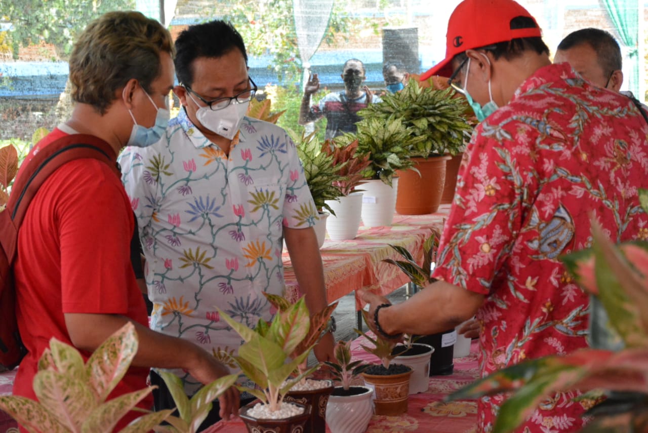 Pemkot Yogya Gelar Lomba Tanaman Hias