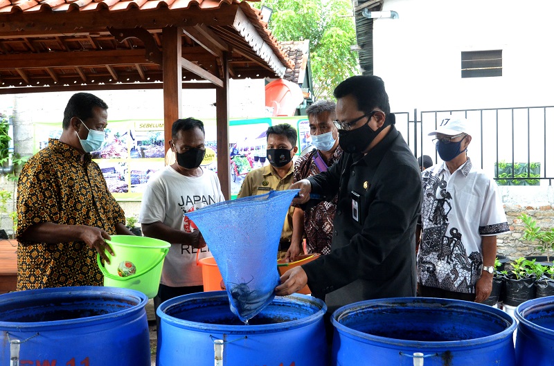 Panen Raya di Kota Yogya Perkuat Ketahanan Pangan