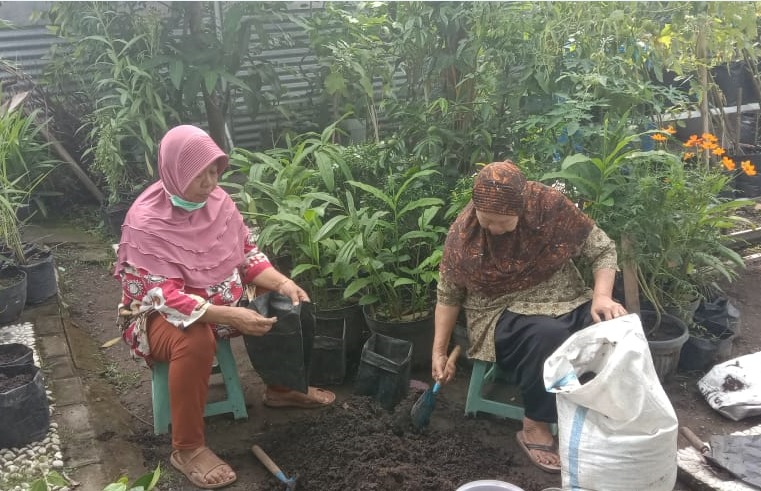 Bercocok Tanam Hobi Menyehatkan di Tengah Pandemi