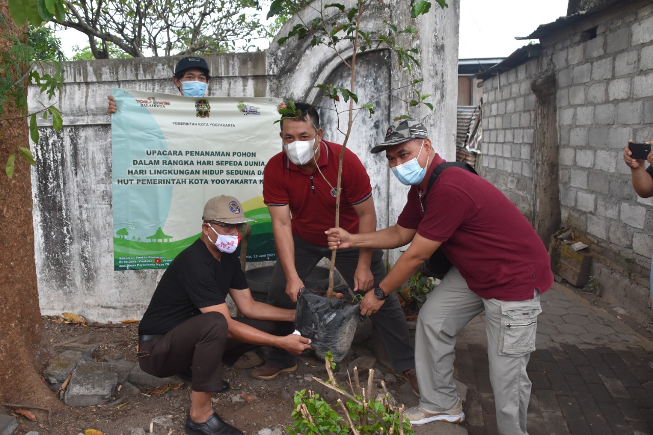 Pemkot Yogya Tanam Pohon Gayam di Kampung Wisata