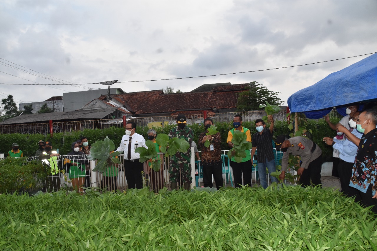 Hasil Panen Loh Jinawi Penuhi Gizi Balita Cegah Stunting