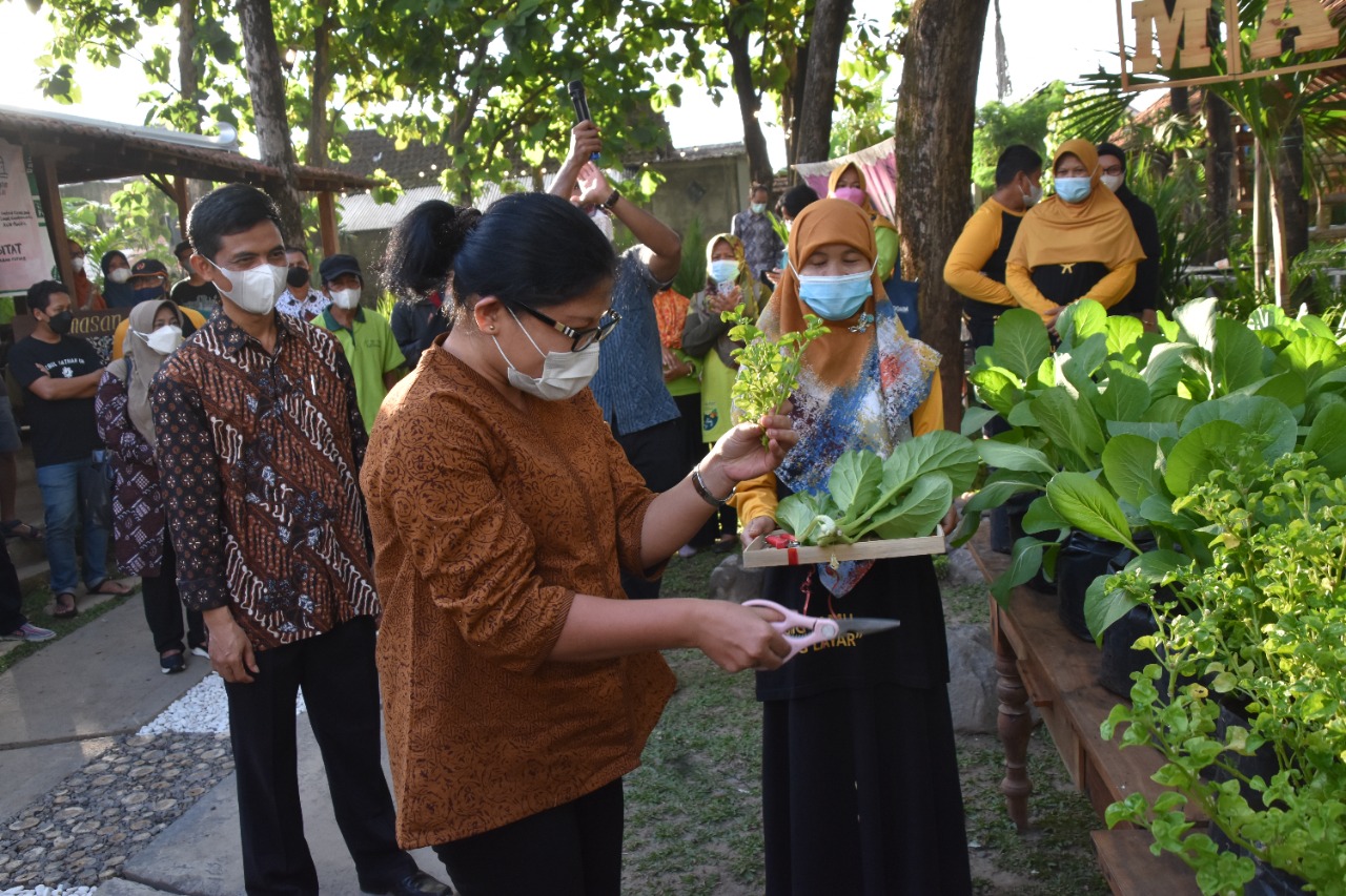 Parikolektif Wahana Interaksi Pertanian Kota Yogya