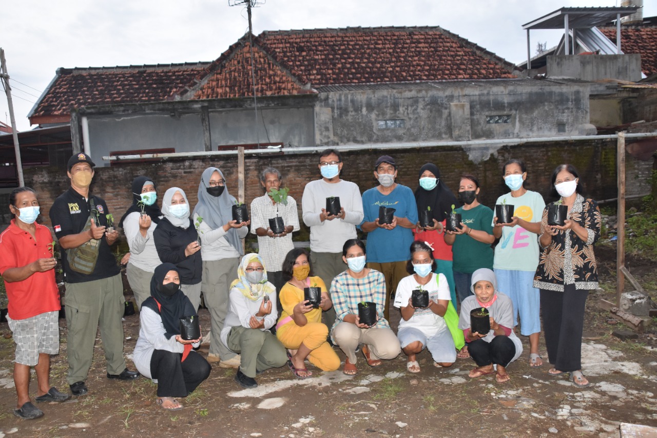 Penanaman Sayur di Lahan Kosong Wahana Edukasi Perda Sampah