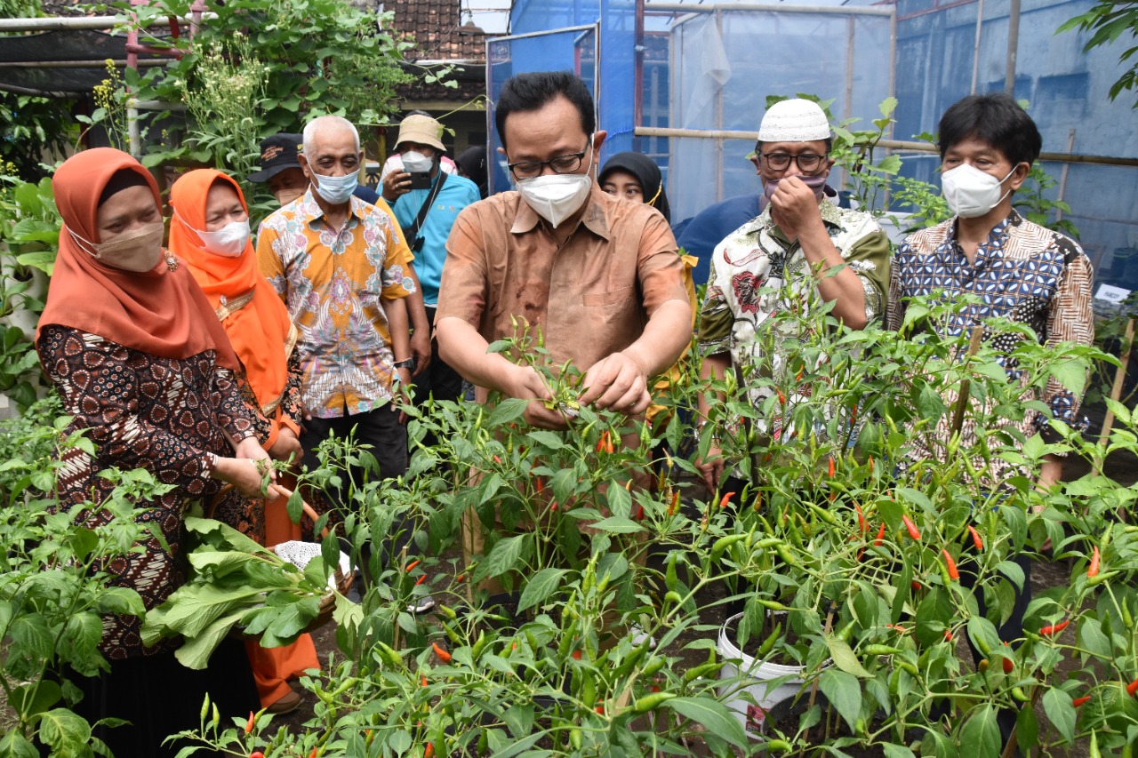 Pemkot Yogya Perluas Lahan Pertanian Perkotaan dengan Kampung Sayur