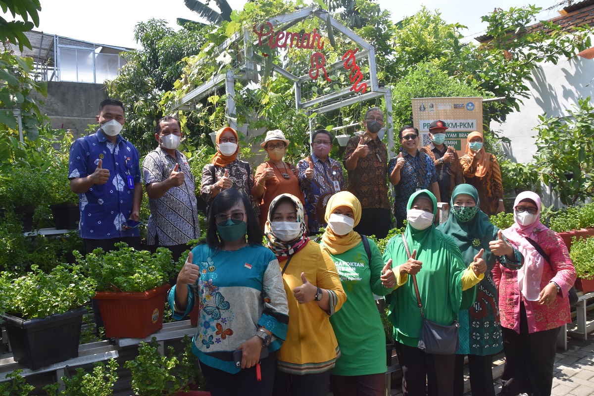 Kampung Sayur Guyub Rukun Warga Tingkatkan Pendapatan Keluarga