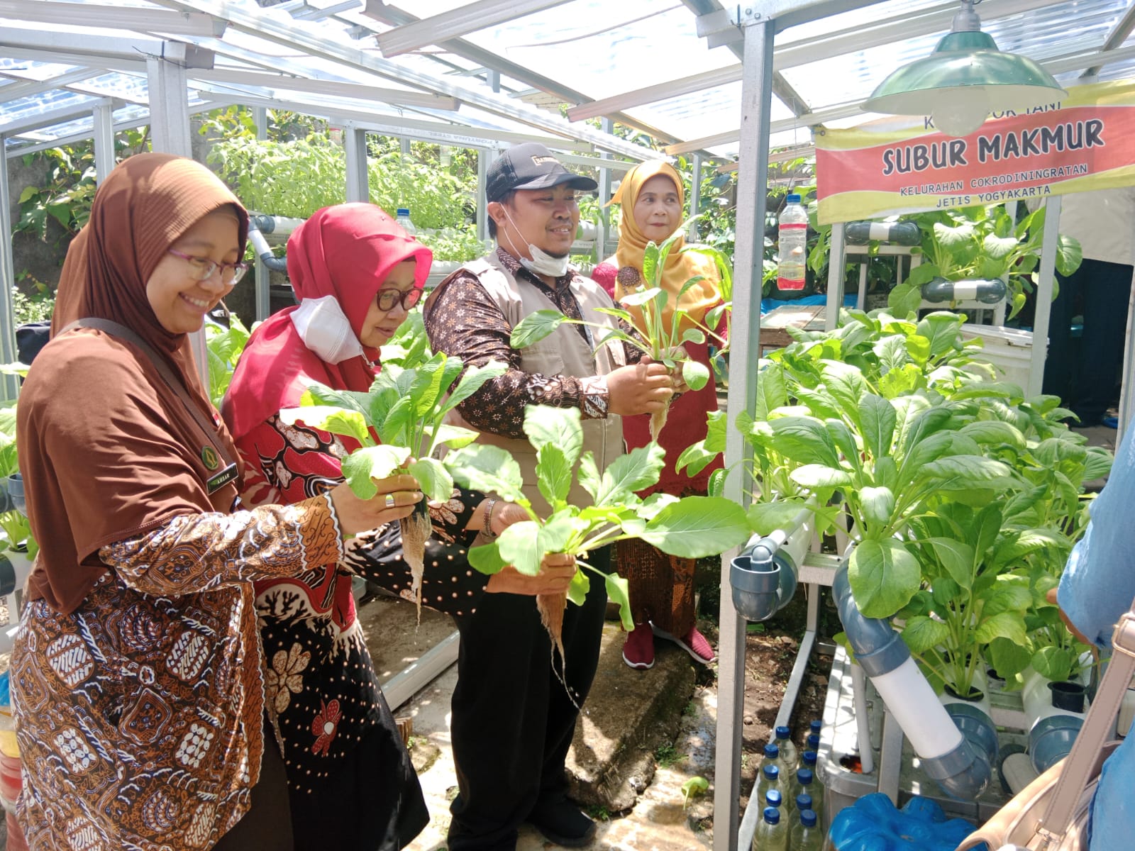 Sensus Pertanian 2023 di Kota Yogya Libatkan Kampung Sayur