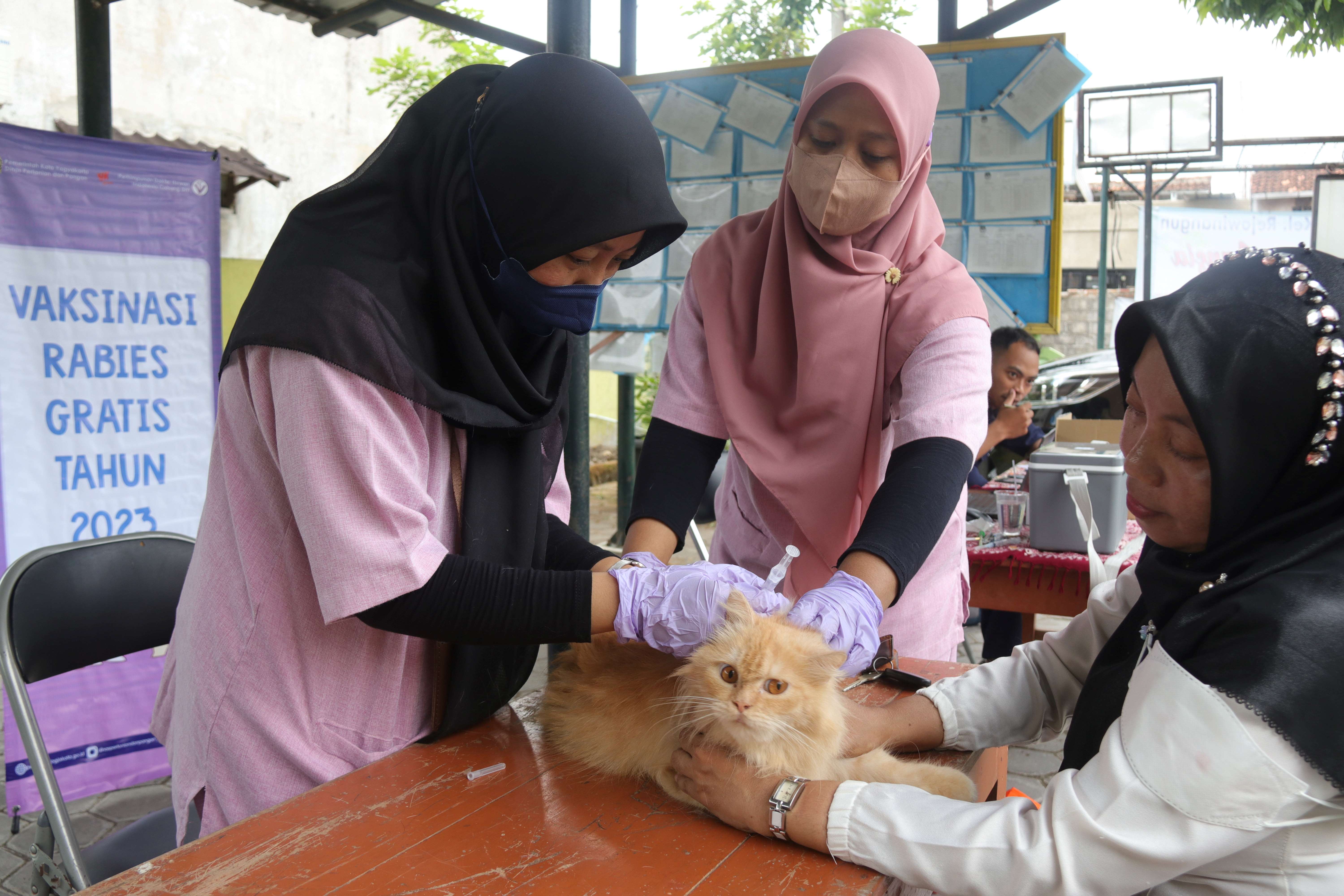 Pemkot Yogya Siapkan 3.000 Dosis Vaksinasi Rabies Secara Gratis