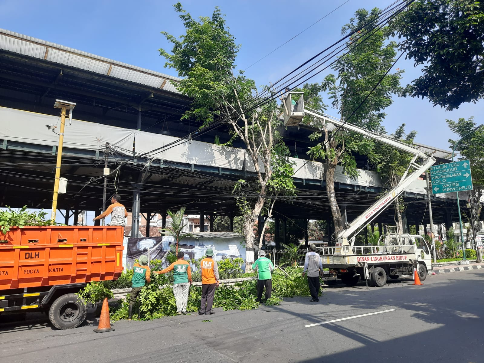 Antisipasi Pohon Tumbang, DLH Prioritaskan Pemangkasan di 13 Titik