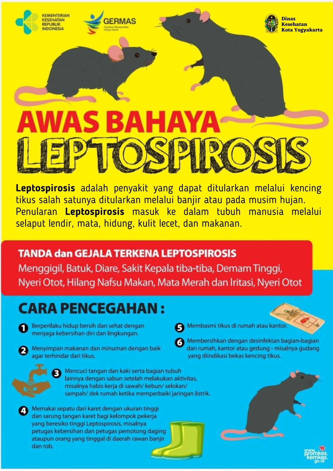 Waspadai Leptospirosis di Musim Hujan, Pemkot Yogya Ajak Warga Terapkan PHBS