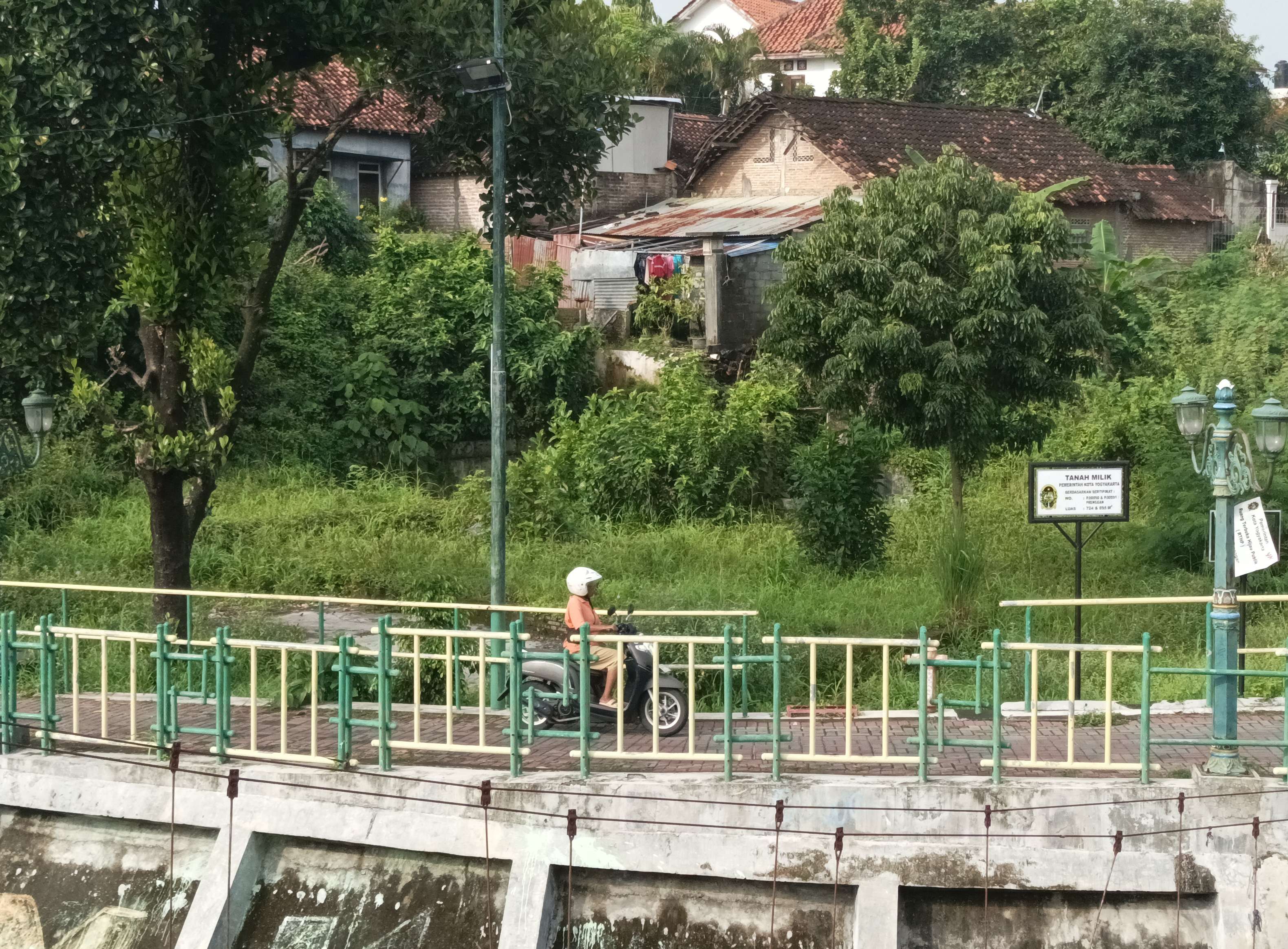 Pemkot Yogya  Bangun 4 RTH Publik, Lestarikan Tanaman Langka