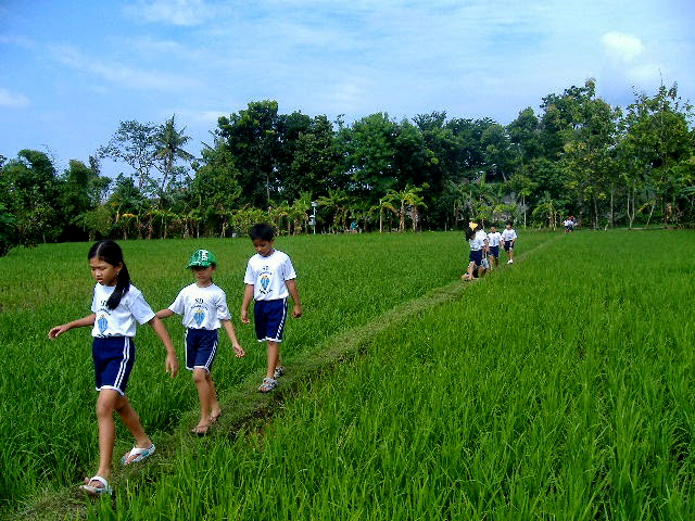 Kampung Wisata Pendidikan Lingkungan Kelurahan Bener
