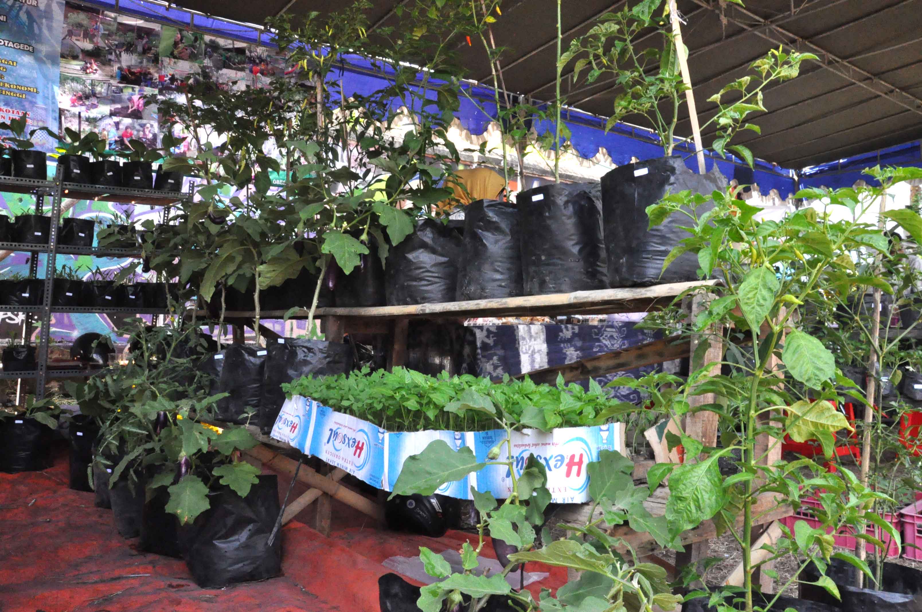 Pasar Tani Meriahkan Perayaan HUT ke-68 Yogyakarta