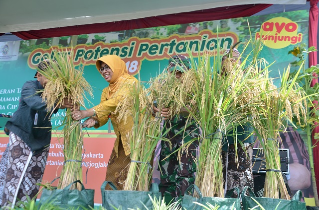 Gelar Potensi Pertanian Yogyakarta 2018, Diharap Bisa Tingkatkan Ketahanan Pangan