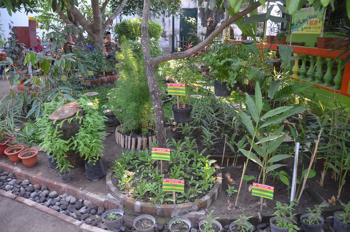 Warga RT 21 RW 05 Keparakan Hijaukan Kota Melalui Taman Herbal