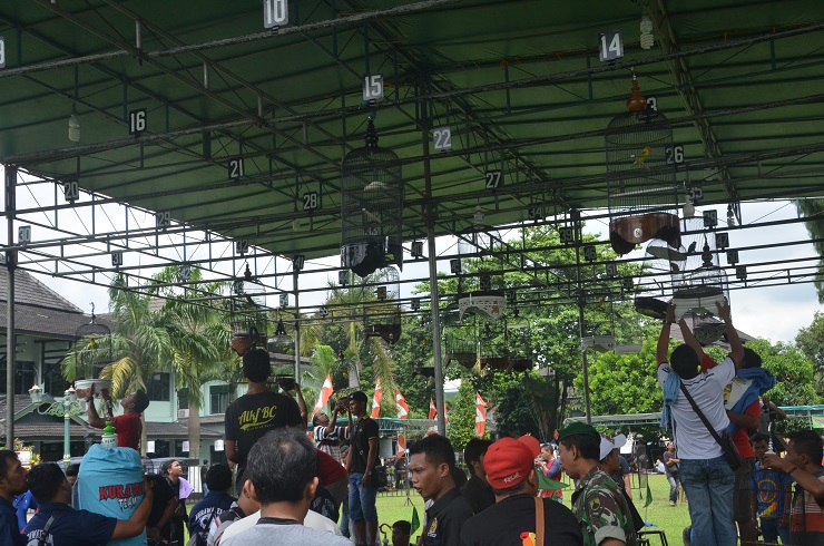 Kicauan Burung Meriahkan HUT ke-260 Kota Yogyakarta 